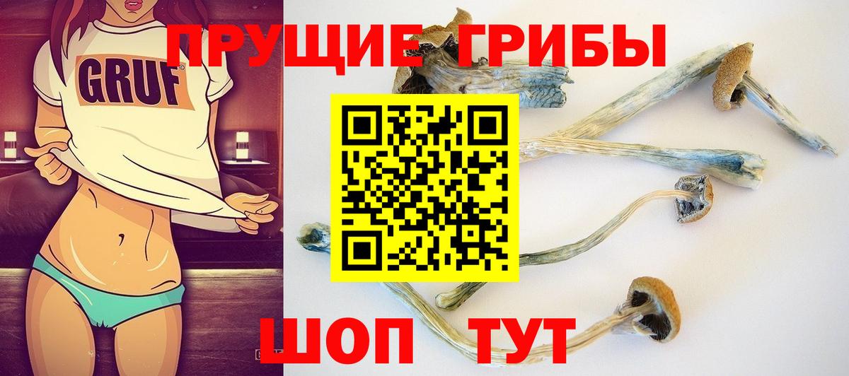 Ангарск  Галлюциногенные грибы прущие грибы  Вход с VPN 
